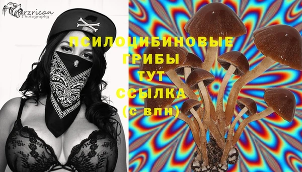 мяу мяу мука Арсеньев